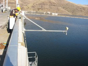 FOREBAY RADAR 1